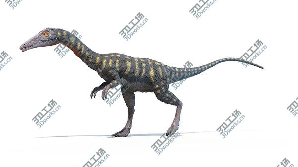 images/goods_img/20210312/Coelophysis Animated model/2.jpg